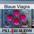 Blaue Viagra 13